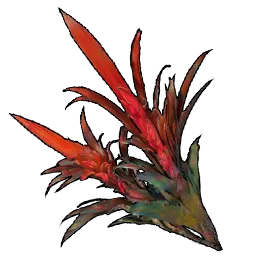 Raw_Alchemy_Bromeliaceae_T2.webp Raw_Alchemy_Bromeliaceae_T2.webp