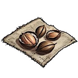 Resources_T01_PalmSabalSeeds_01.webp Resources_T01_PalmSabalSeeds_01.webp