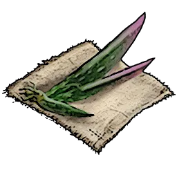 Resources_T02_AloeSeeds_01.webp Resources_T02_AloeSeeds_01.webp