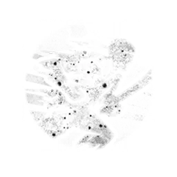 Fencer_LessStaminaForDash.webp Fencer_LessStaminaForDash.webp