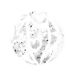 Toughguy_ExtraHP.webp Toughguy_ExtraHP.webp